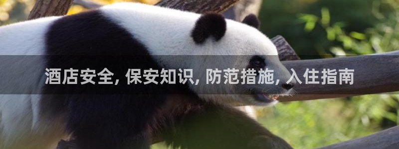k8凯发中国